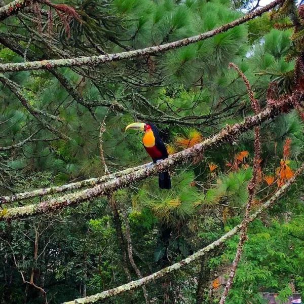 Casa Fazenda Inglesa Petrópolis RJ