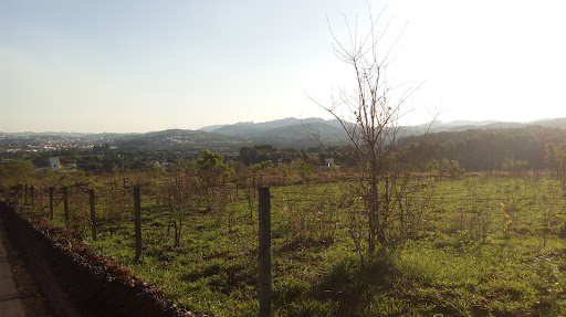 Melhores Hotéis que Aceitam Pets em Águas Santas, Minas Gerais 2025