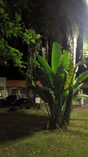 Melhores Hotéis que Aceitam Pets em Santanésia, Rio de Janeiro 2025
