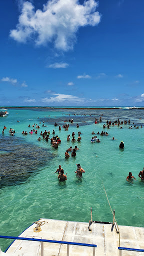 Melhores Hotéis que Aceitam Pets em Maragogi, Alagoas 2025