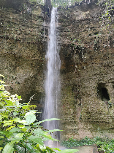Melhores Hotéis que Aceitam Pets em Presidente Figueiredo, Amazonas 2025