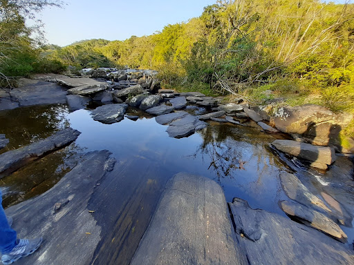 Melhores Hotéis que Aceitam Pets em Natividade da Serra, São Paulo 2025