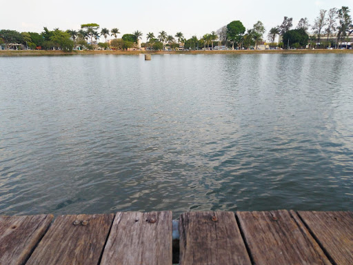 Melhores Hotéis que Aceitam Pets em Patos de Minas, Minas Gerais 2025