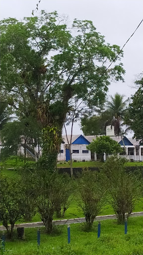 Melhores Hotéis que Aceitam Pets em Uruçuca, Bahia 2025