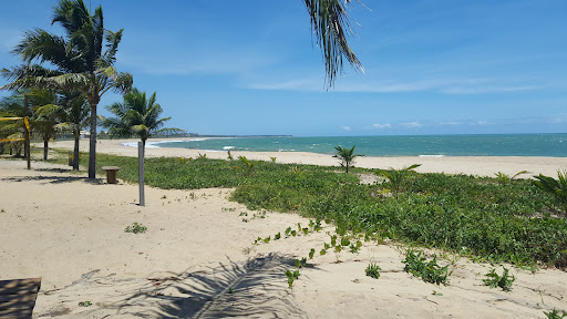 Melhores Hotéis que Aceitam Pets em Itacimirim, Bahia 2025