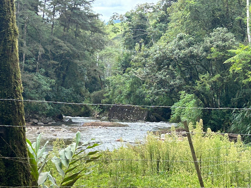 Melhores Hotéis que Aceitam Pets em Mauá, Rio de Janeiro 2025