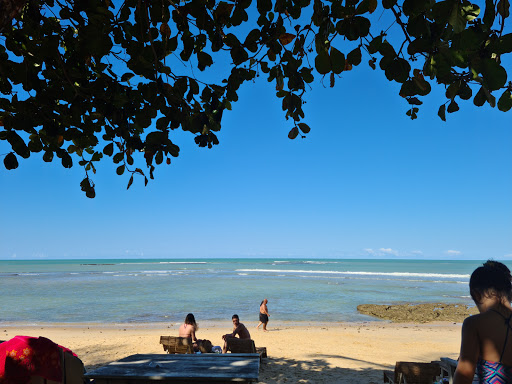 Melhores Hotéis que Aceitam Pets em Praia do Espelho, Bahia 2025