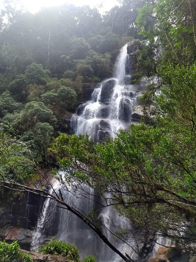 Melhores Hotéis que Aceitam Pets em Itatiaia, Rio de Janeiro 2025