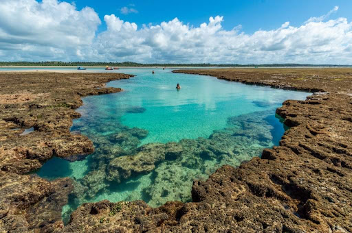 Melhores Hotéis que Aceitam Pets em São Miguel dos Milagres, Alagoas 2025