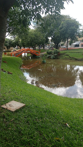 Melhores Hotéis que Aceitam Pets em Telêmaco Borba, Paraná 2025