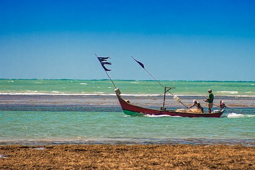 Melhores Hotéis que Aceitam Pets em Pontal do Peba, Alagoas 2025