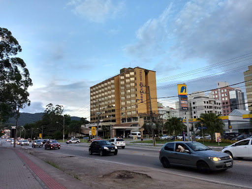Melhores Hotéis que Aceitam Pets em Itacorubi, Ilha de Santa Catarina 2025