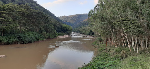 Melhores Hotéis que Aceitam Pets em São José do Rio Preto, Rio de Janeiro 2025