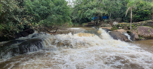 Melhores Hotéis que Aceitam Pets em Pocinhos do Rio Verde, Minas Gerais 2025