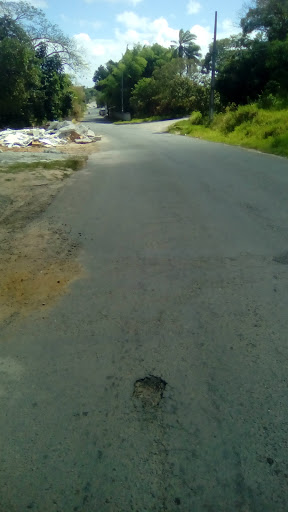Melhores Hotéis que Aceitam Pets em Santo Antônio do Rio das Pedras, Bahia 2025