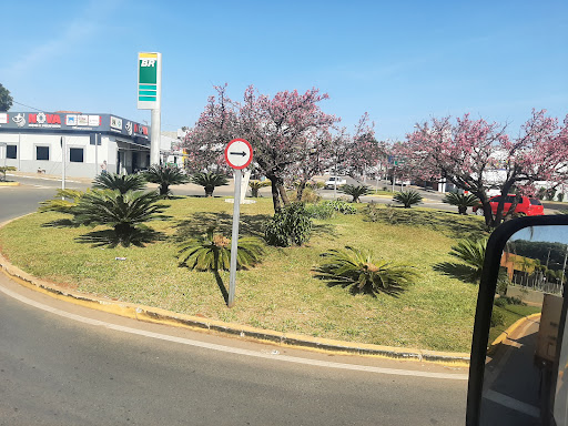 Melhores Hotéis que Aceitam Pets em Capão Bonito, São Paulo 2025