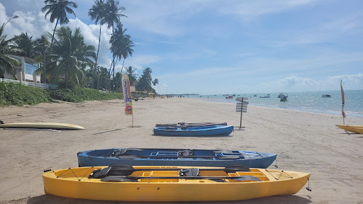 Melhores Hotéis que Aceitam Pets em Ponta do Mangue, Alagoas 2025