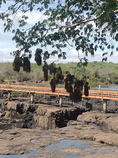 Melhores Hotéis que Aceitam Pets em Timon, Piauí 2025