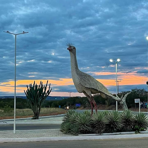 Melhores Hotéis que Aceitam Pets em São Raimundo, Piauí 2025