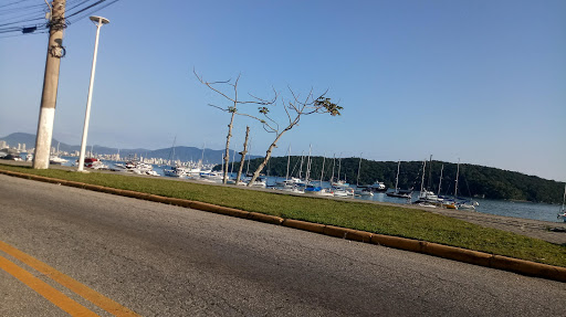 Melhores Hotéis que Aceitam Pets em Perequê, Santa Catarina 2025