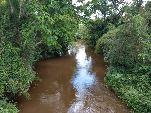 Melhores Hotéis que Aceitam Pets em Aiuruoca, Minas Gerais 2025
