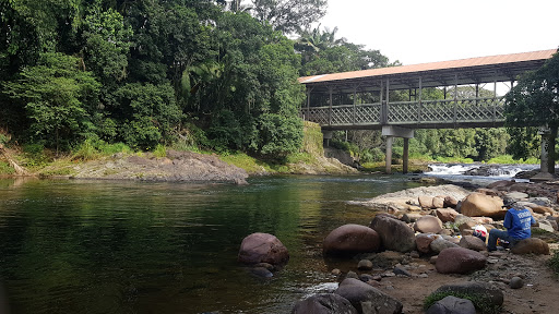 Melhores Hotéis que Aceitam Pets em Pirabeiraba, Santa Catarina 2025