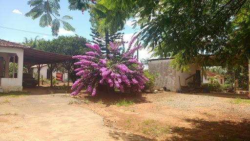 Melhores Hotéis que Aceitam Pets em São Miguel Arcanjo, São Paulo 2025