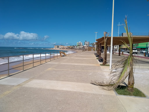 Melhores Hotéis que Aceitam Pets em Amaralina, Bahia 2025