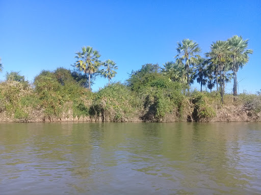 Melhores Hotéis que Aceitam Pets em Rio Grande, Bahia 2025