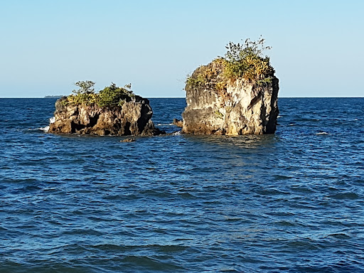 Melhores Hotéis que Aceitam Pets em Ilha Grande de Camamu, Bahia 2025