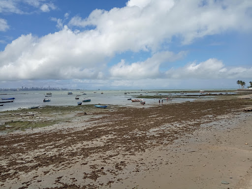 Melhores Hotéis que Aceitam Pets em Jaburu, Bahia 2025