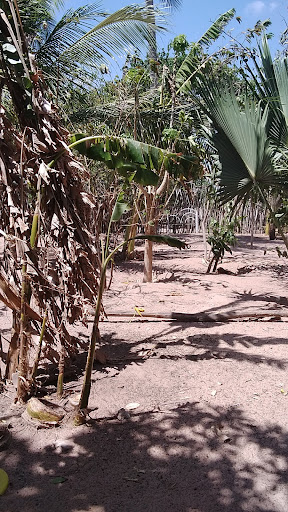 Melhores Hotéis que Aceitam Pets em Caiçara, Ceará 2025