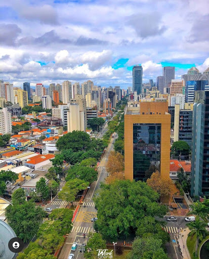 Melhores Hotéis que Aceitam Pets em São Paulo, São Paulo 2025