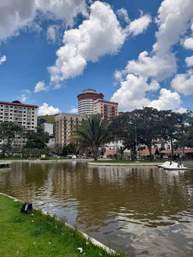 Melhores Hotéis que Aceitam Pets em Águas de Lindoia, São Paulo 2025