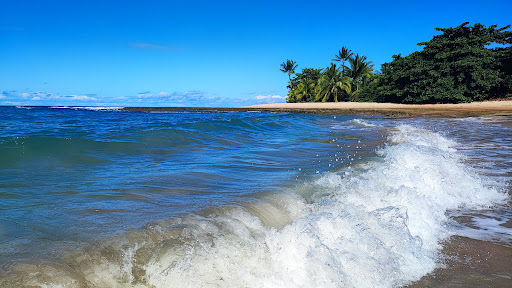Melhores Hotéis que Aceitam Pets em Ponta do Mutá, Bahia 2025