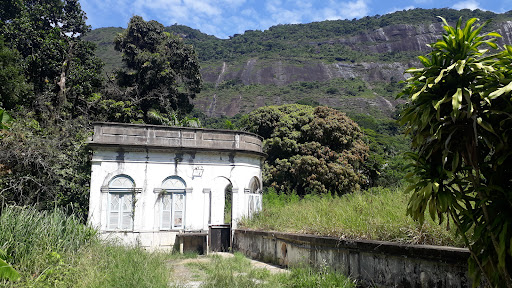 Melhores Hotéis que Aceitam Pets em Alto da Boa Vista, Rio de Janeiro 2025