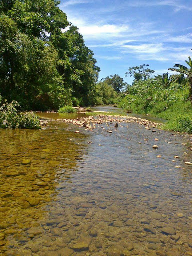 Melhores Hotéis que Aceitam Pets em Barra Grande, Rio de Janeiro 2025