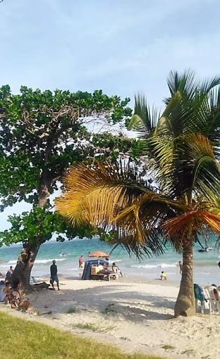 Melhores Hotéis que Aceitam Pets em Madre de Deus, Bahia 2025