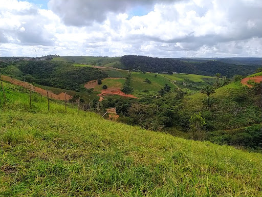 Melhores Hotéis que Aceitam Pets em Gravatá, Pernambuco 2025