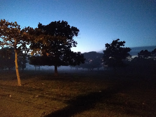 Melhores Hotéis que Aceitam Pets em Sao Joao do Rio Vermelho, Ilha de Santa Catarina 2025