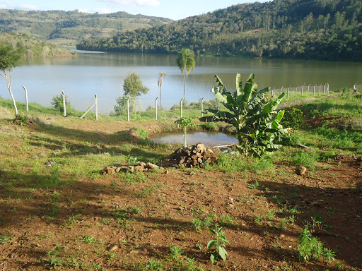 Melhores Hotéis que Aceitam Pets em Guatambu, Santa Catarina 2025