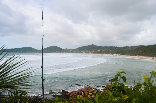 Melhores Hotéis que Aceitam Pets em Praia do Rosa, Santa Catarina 2025