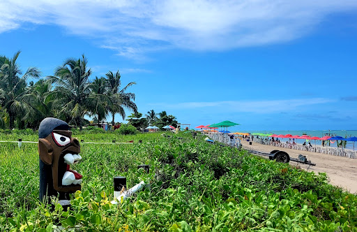 Melhores Hotéis que Aceitam Pets em Antunes, Alagoas 2025