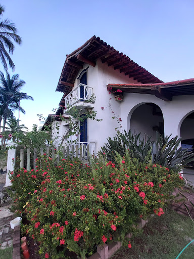 Melhores Hotéis que Aceitam Pets em Olivença, Bahia 2025