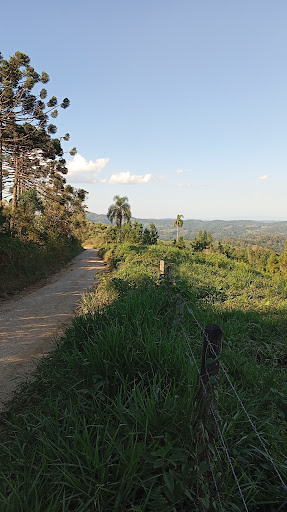 Melhores Hotéis que Aceitam Pets em Castro, Paraná 2025