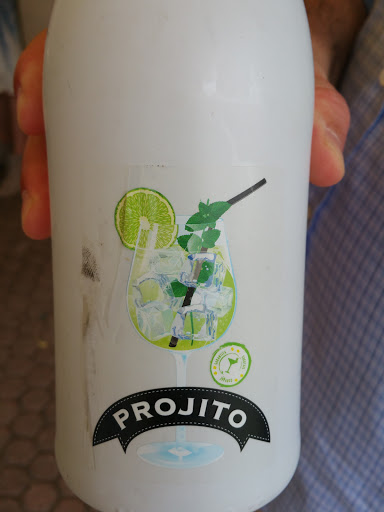 Melhores Hotéis que Aceitam Pets em Vinicola Girardi, São Paulo 2025