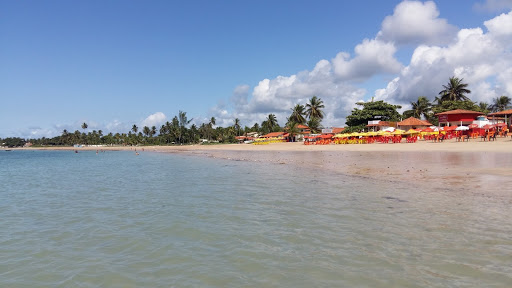 Melhores Hotéis que Aceitam Pets em Cruz, Bahia 2025
