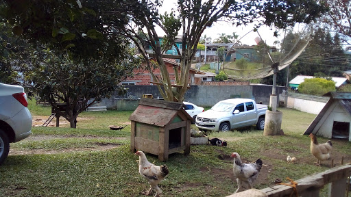 Melhores Hotéis que Aceitam Pets em Rio Negrinho, Santa Catarina 2025
