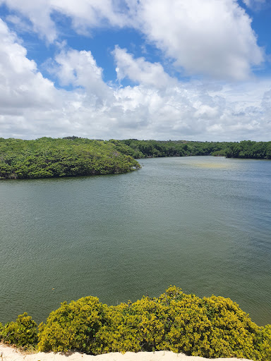 Melhores Hotéis que Aceitam Pets em Riacho, Alagoas 2025