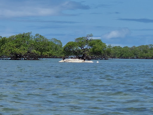Melhores Hotéis que Aceitam Pets em Barra do Carvalho, Bahia 2025